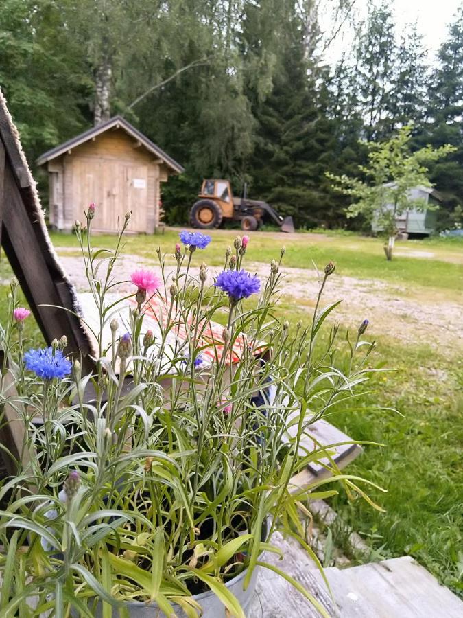 Kulttuurikartano Pekan Pirtit Haapavesi Zewnętrze zdjęcie
